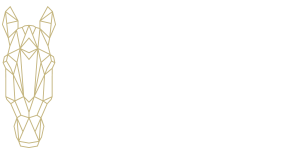 Sensicellhorse.com
